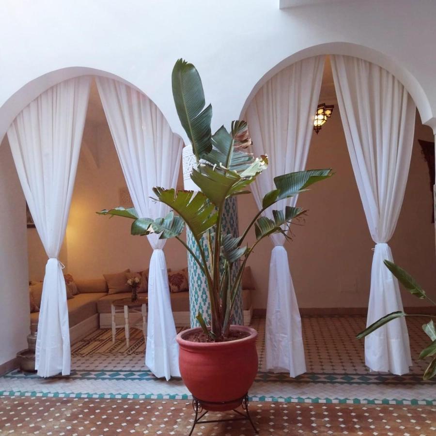 El Arco Rooftop Pool&spa Riad Marrakesh