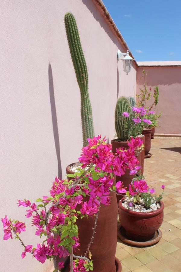 El Arco Rooftop Pool&spa 2*